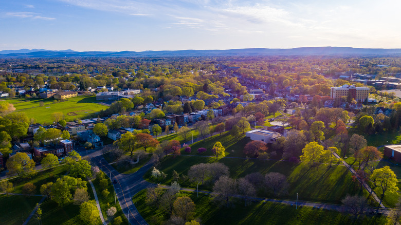 aerial view of suburban Albany