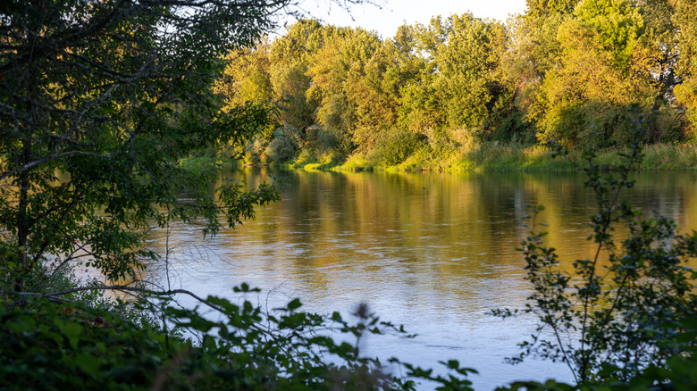 Willamette River at dusk