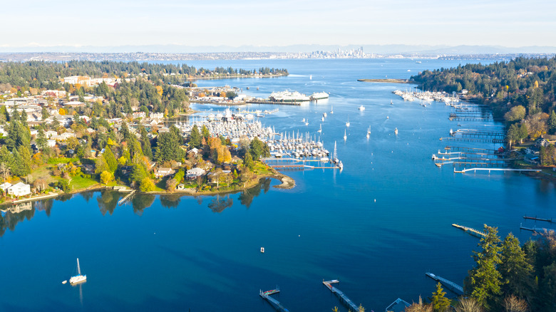 Bainbridge Island Harbor