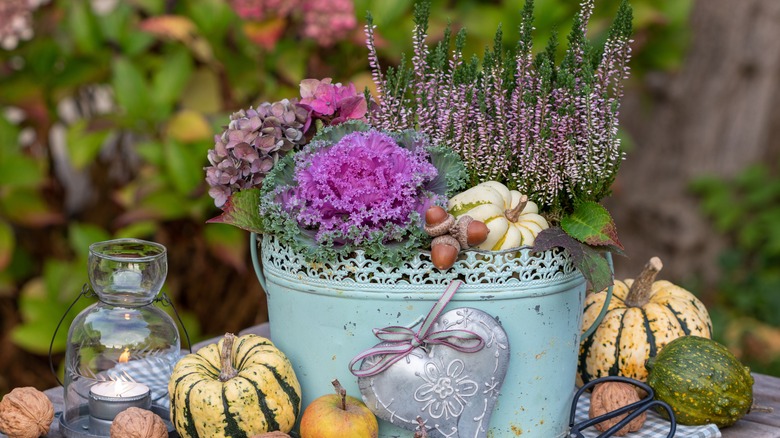 Ornamental cabbage in a planter surrounded by squash