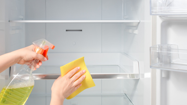 Person cleaning inside of fridge