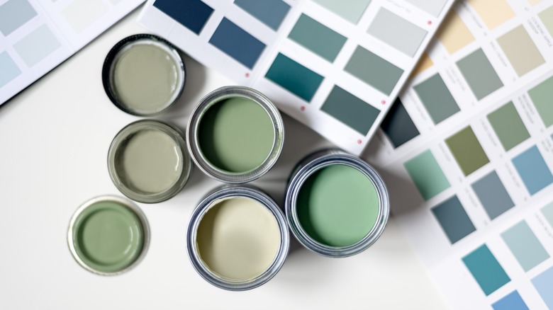 muted green paint cans and swatches