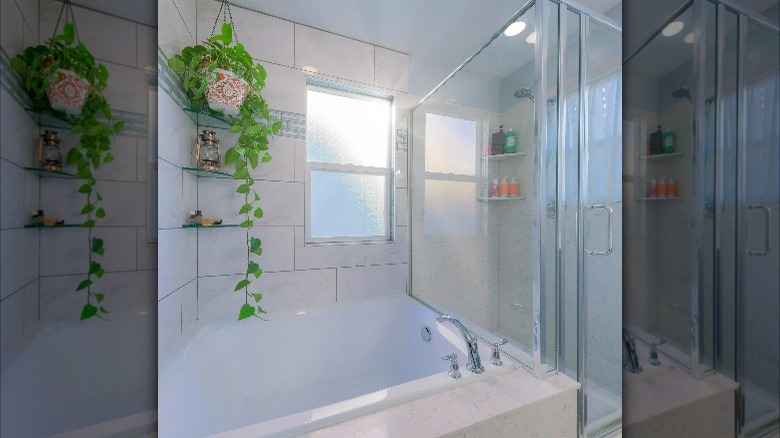 Hanging plant in bathtub corner