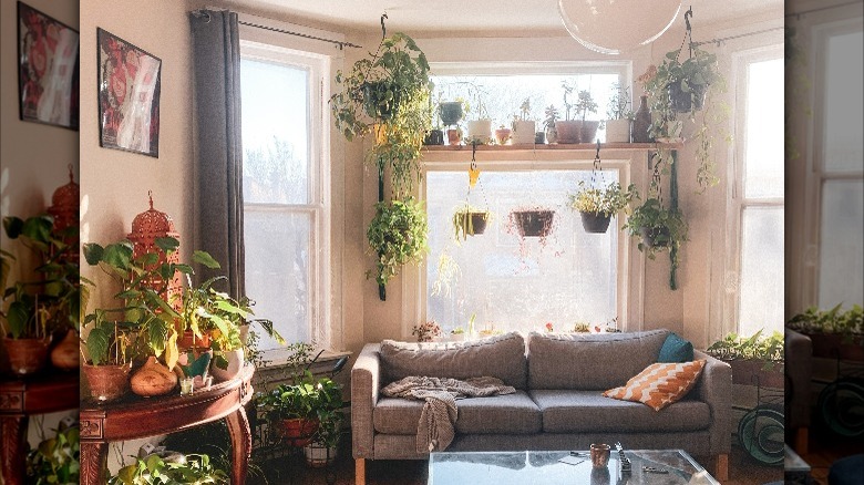 Living room lots of plants