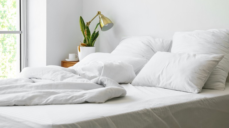 White bed with snake plant