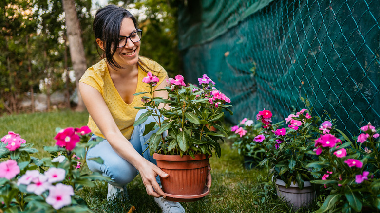 woman holding potted plant