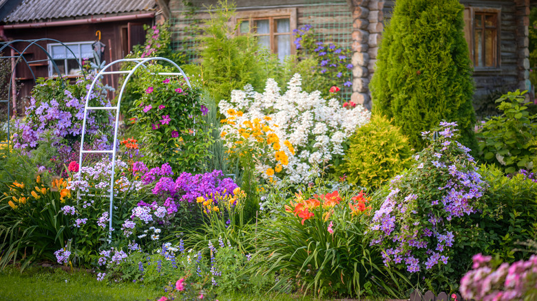 colorful garden 