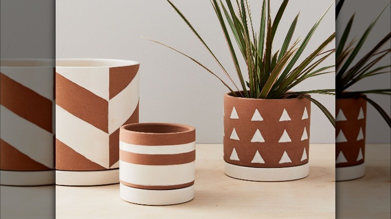 Patterned terracotta planters