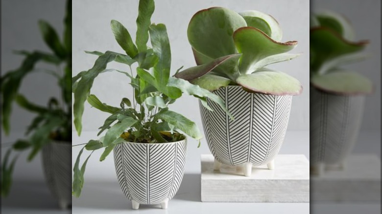 Herringbone patterned plant pots