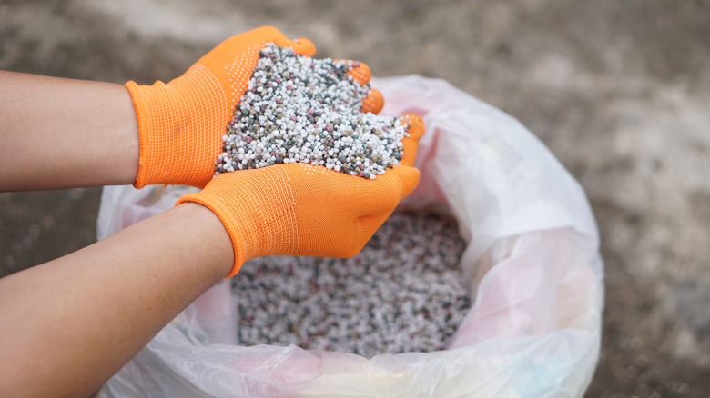 hands holding fertilizer