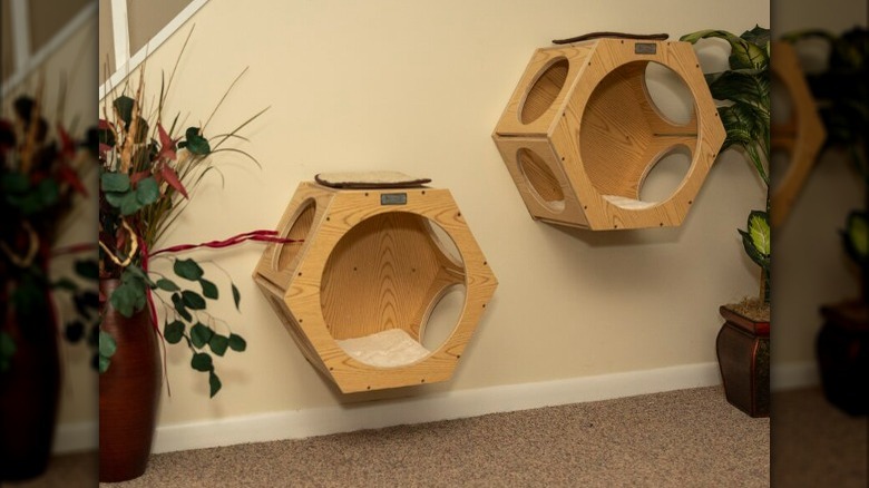 Two mounted cat shelves