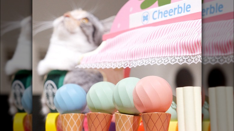 Cheerble balls positioned on cones