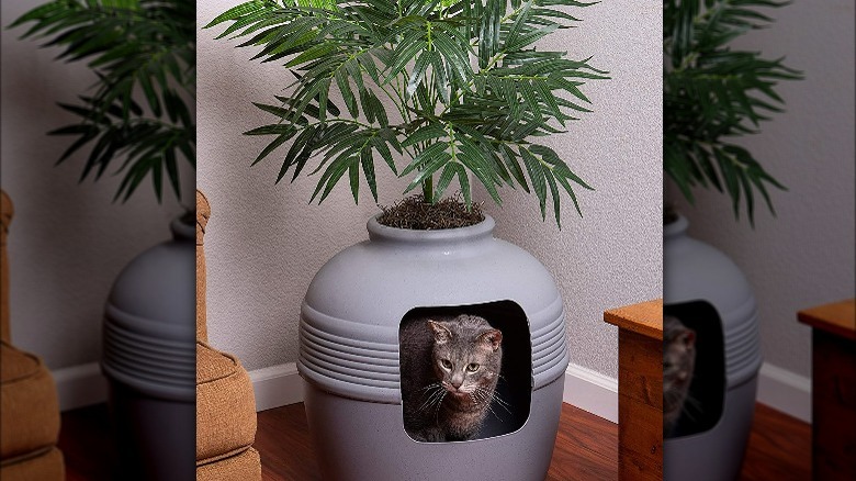 Houseplant-shaped litter box 