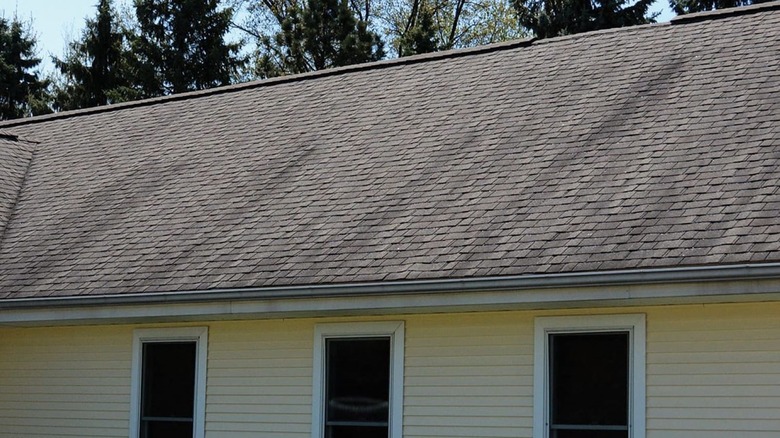 A yellow house has stained roof shingles