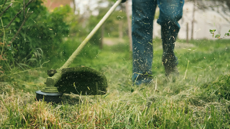 Person using string trimmer