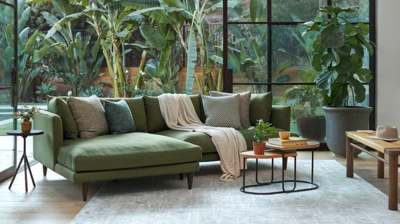 green sectional sofa and houseplants