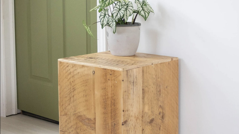 natural wood stand with plant