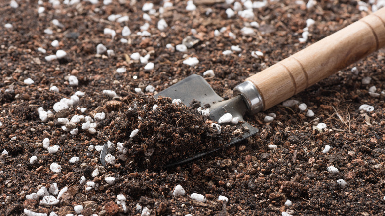 Closeup of a trowel scooping up succulent potting mix