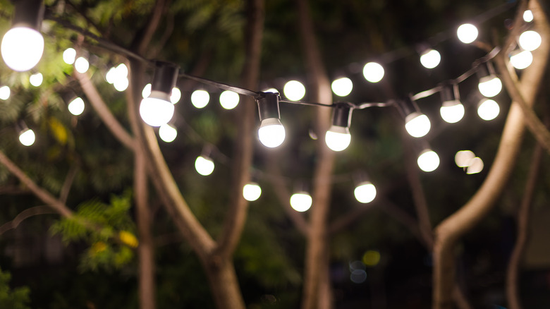 solar lights hanging in trees