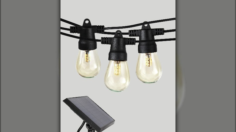 Eddison bulb string lights