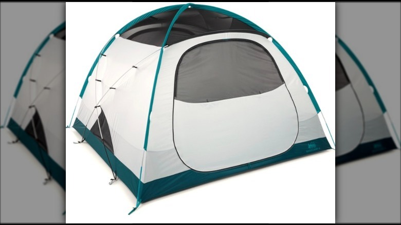 white and blue tent with mesh