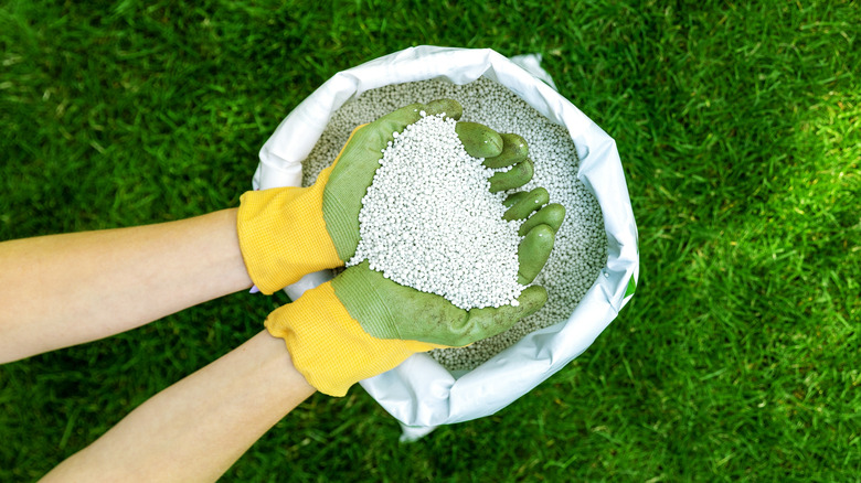 Hand with a bag of fertilizer