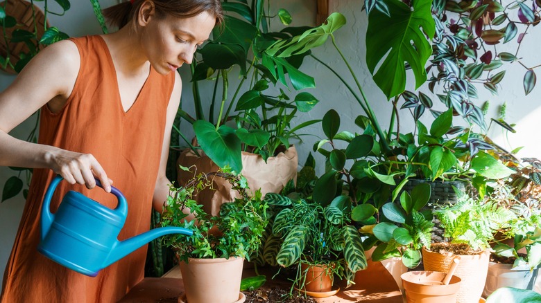 Woman watering plant