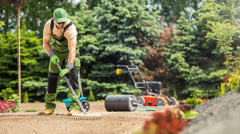 man working tthe lawn