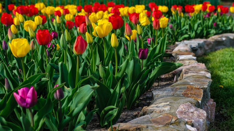 Pavers along flowerbed edge