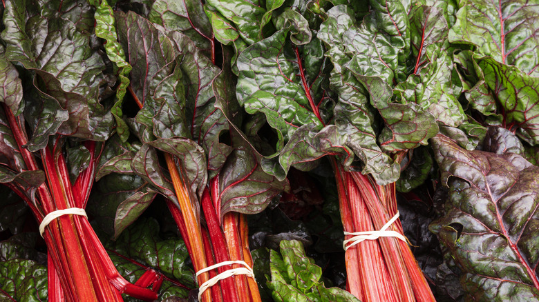 Harvested Swiss chard