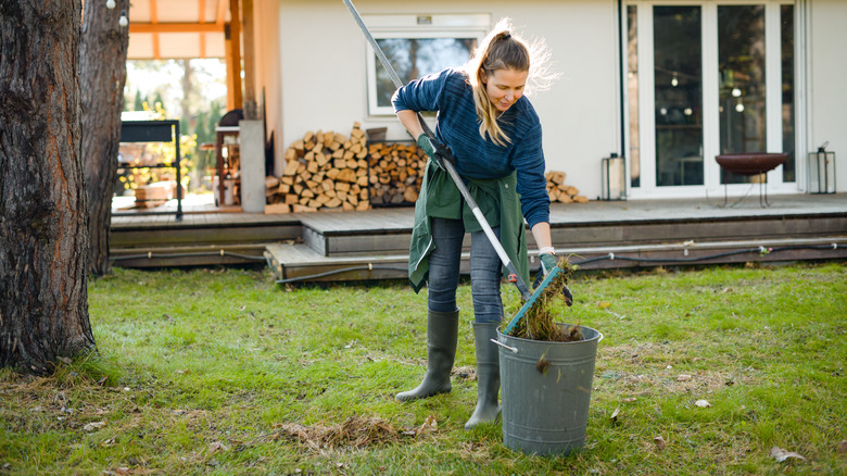 woman tidying up lawn