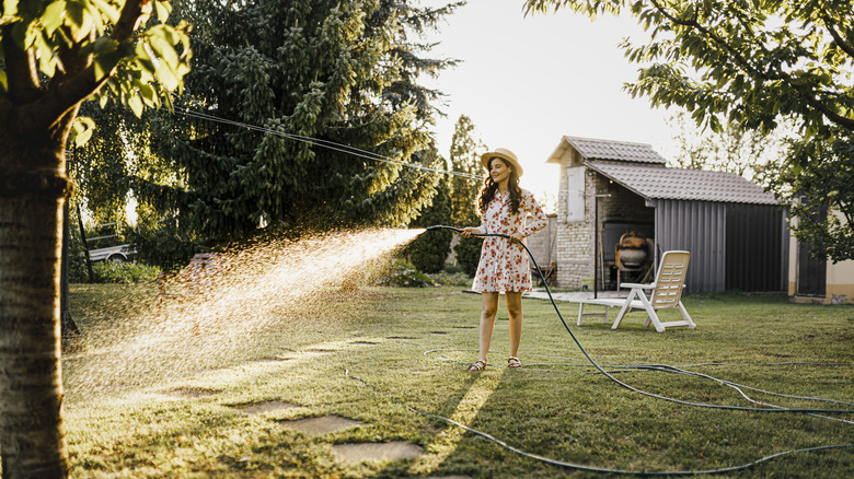 Woman watering lawn 