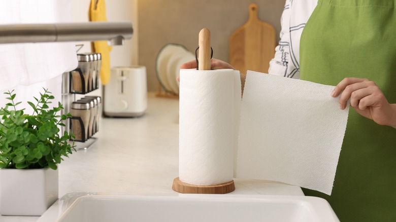 https://www.housedigest.com/img/gallery/the-best-tips-for-cutting-back-on-paper-towel-use/intro-1696015647.jpg