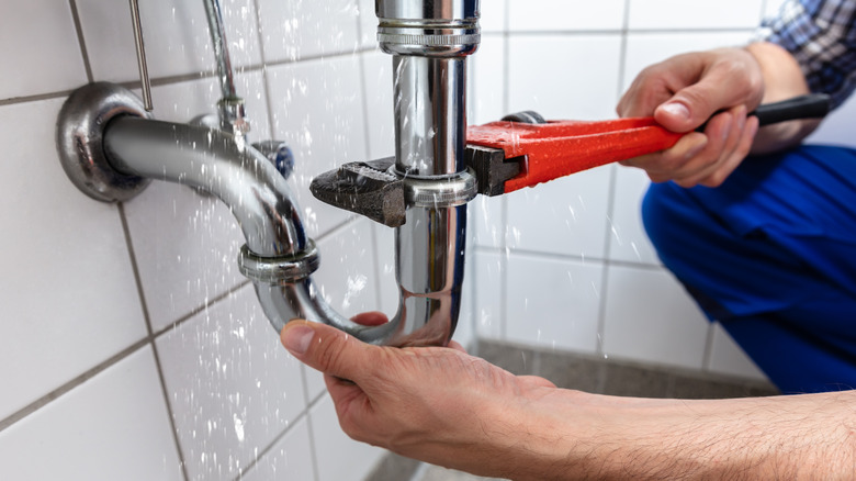 plumber fixing leaking sink