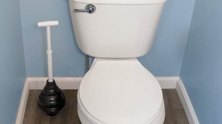 toilet plunger near white toilet