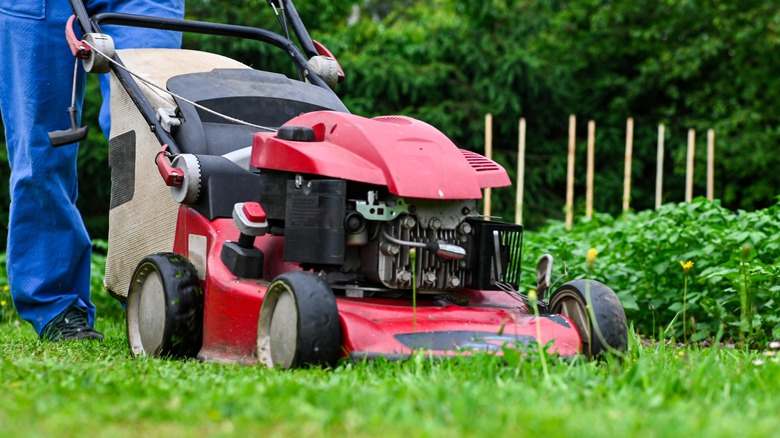 red push mower on lawn