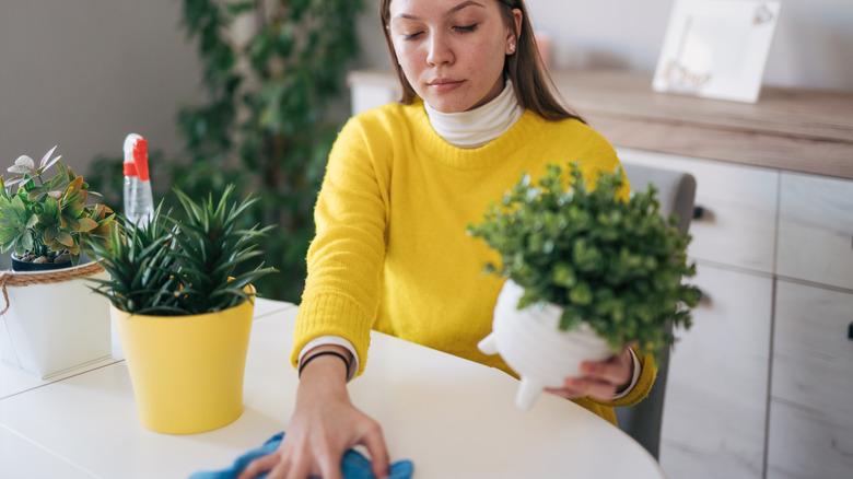 The person is cleaning around her faux plants