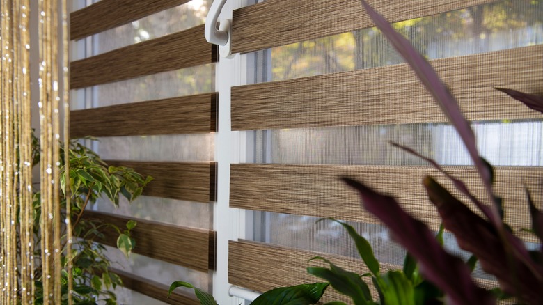 layered window blinds