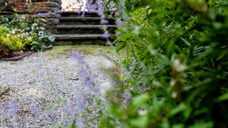 steps leading to a gravel path