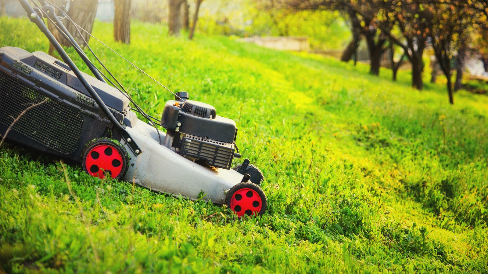 Best type of lawn mower for hills sale