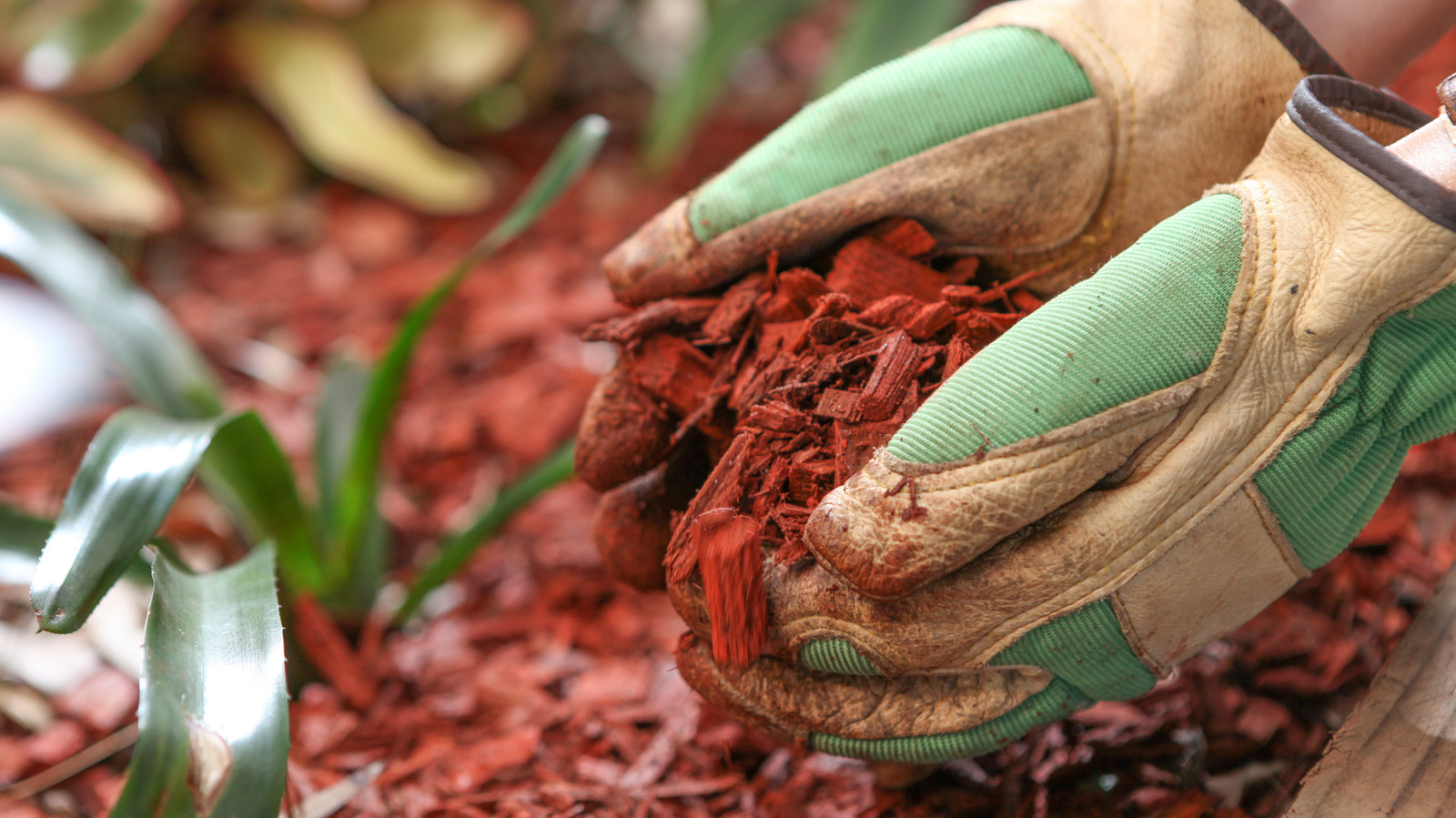 The Best Type Of Mulch To Use If You Want To Keep Bugs Away   L Intro 1691818368 