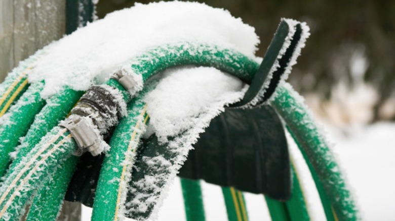 Snow on a green hose