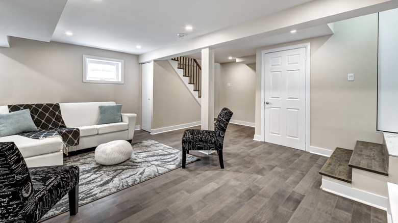 Basement living room