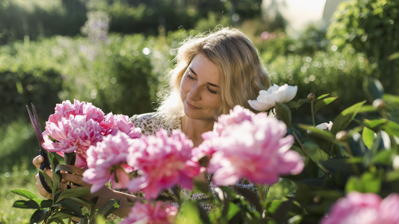 woman in a peony garden