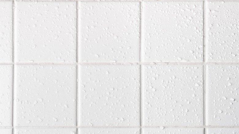 Clean white shower tiles and grout