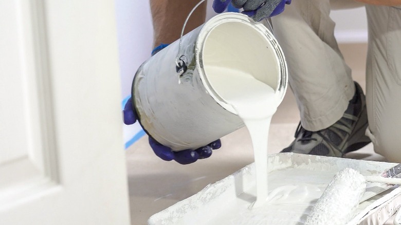 Pouring white paint into tray