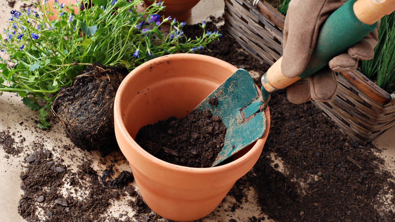 Person filling pot with soil