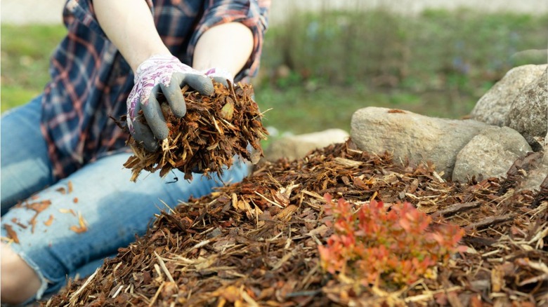 gloved hands grabbing mulch