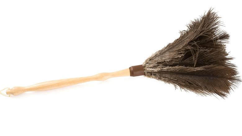 brown feather duster