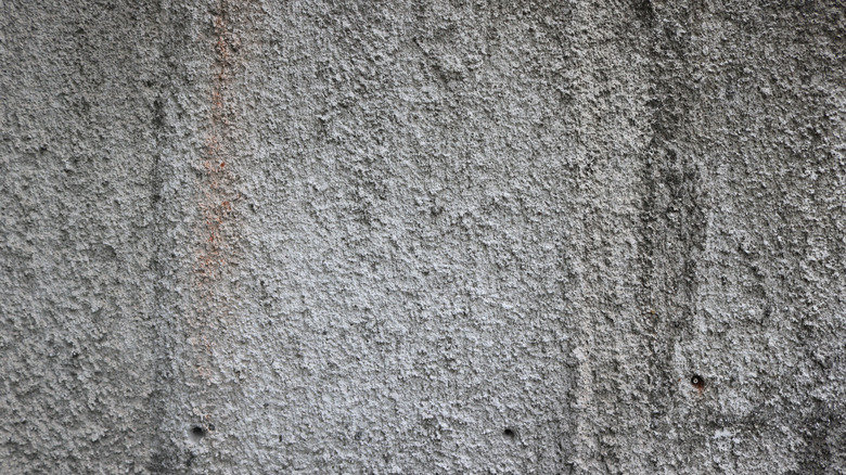 moldy popcorn ceiling